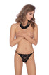 Roza Sarina Brief